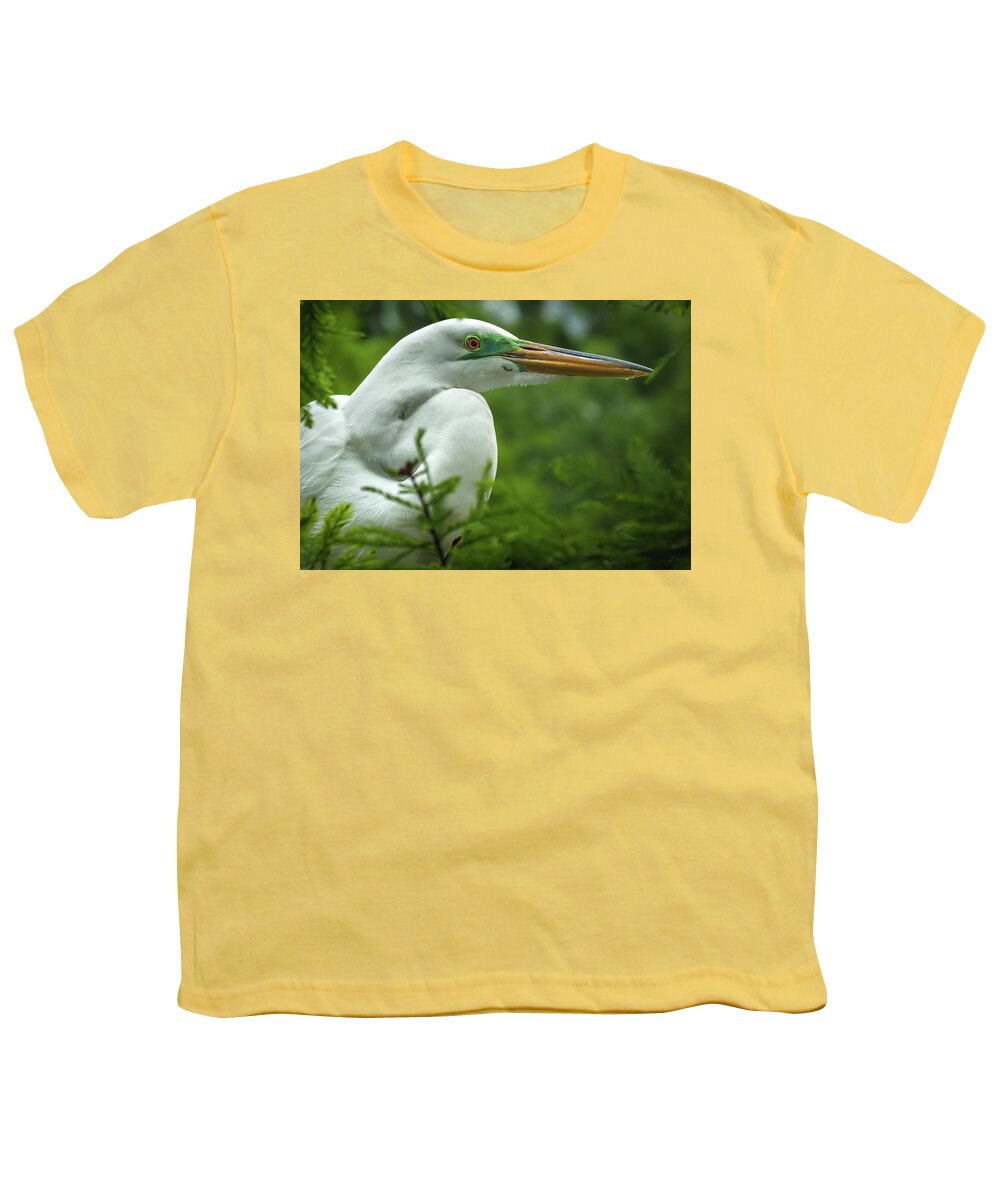White Egret Portraits Youth T-Shirt featuring the photograph ELEGANCE in CYPRESS by Karen Wiles