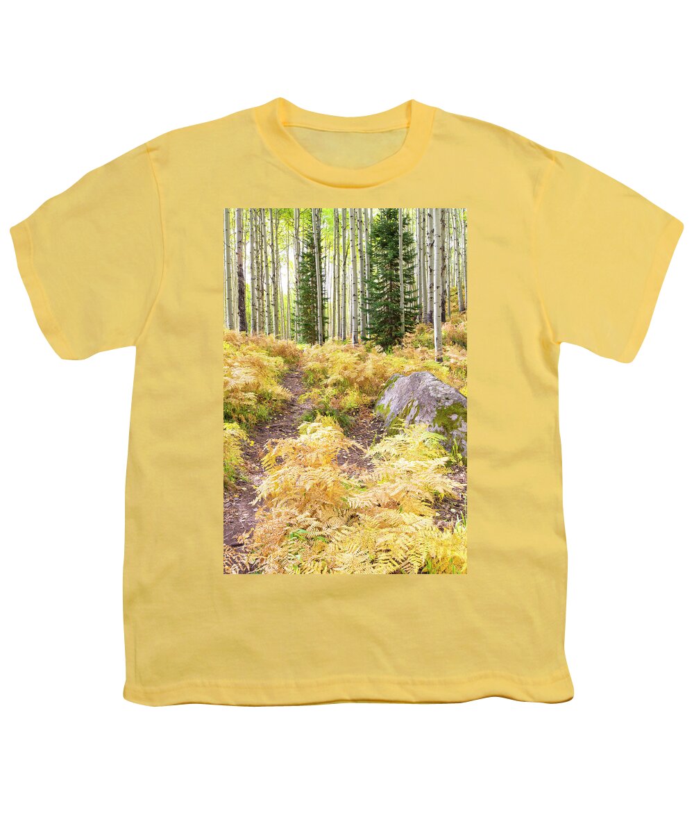 Ferns Youth T-Shirt featuring the photograph Golden Fern Path by Nancy Dunivin