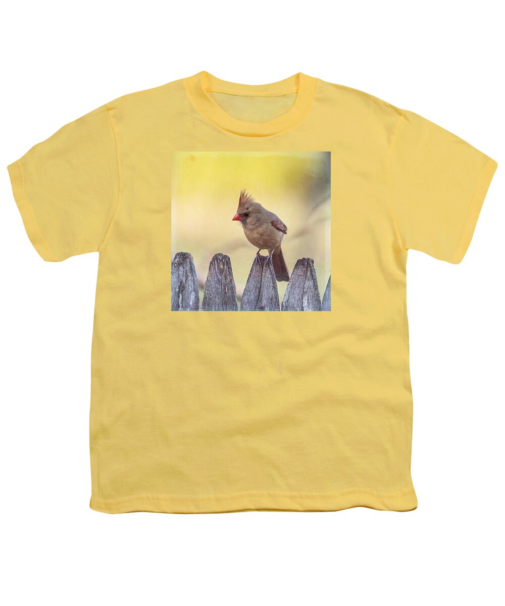 Bird Youth T-Shirt featuring the photograph Lady Cardinal by Cathy Kovarik