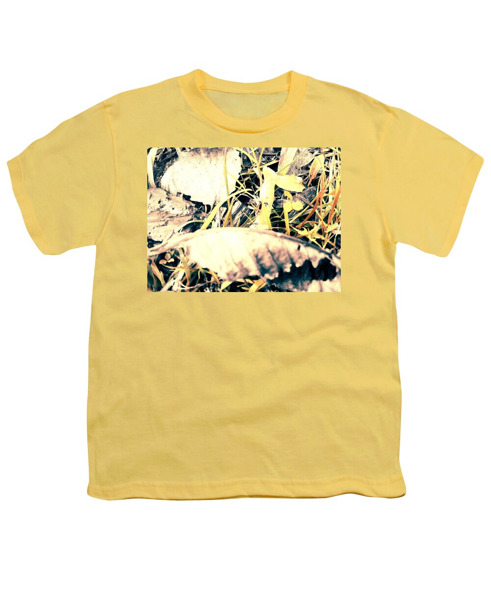 From Autumn Breaks Gallery Youth T-Shirt featuring the photograph Leaf 55 by The Lovelock experience