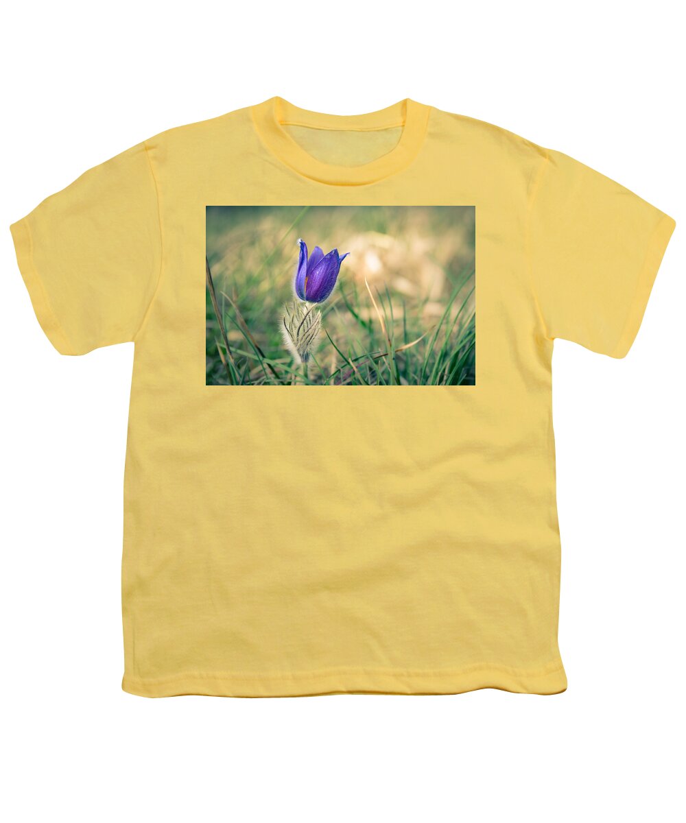 Pulsatilla Vulgaris Youth T-Shirt featuring the photograph Pasque Flower by Andreas Levi