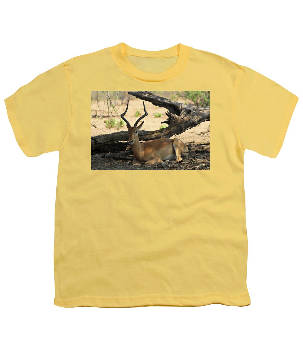  Youth T-Shirt featuring the photograph Chillin in the shade by Eric Pengelly