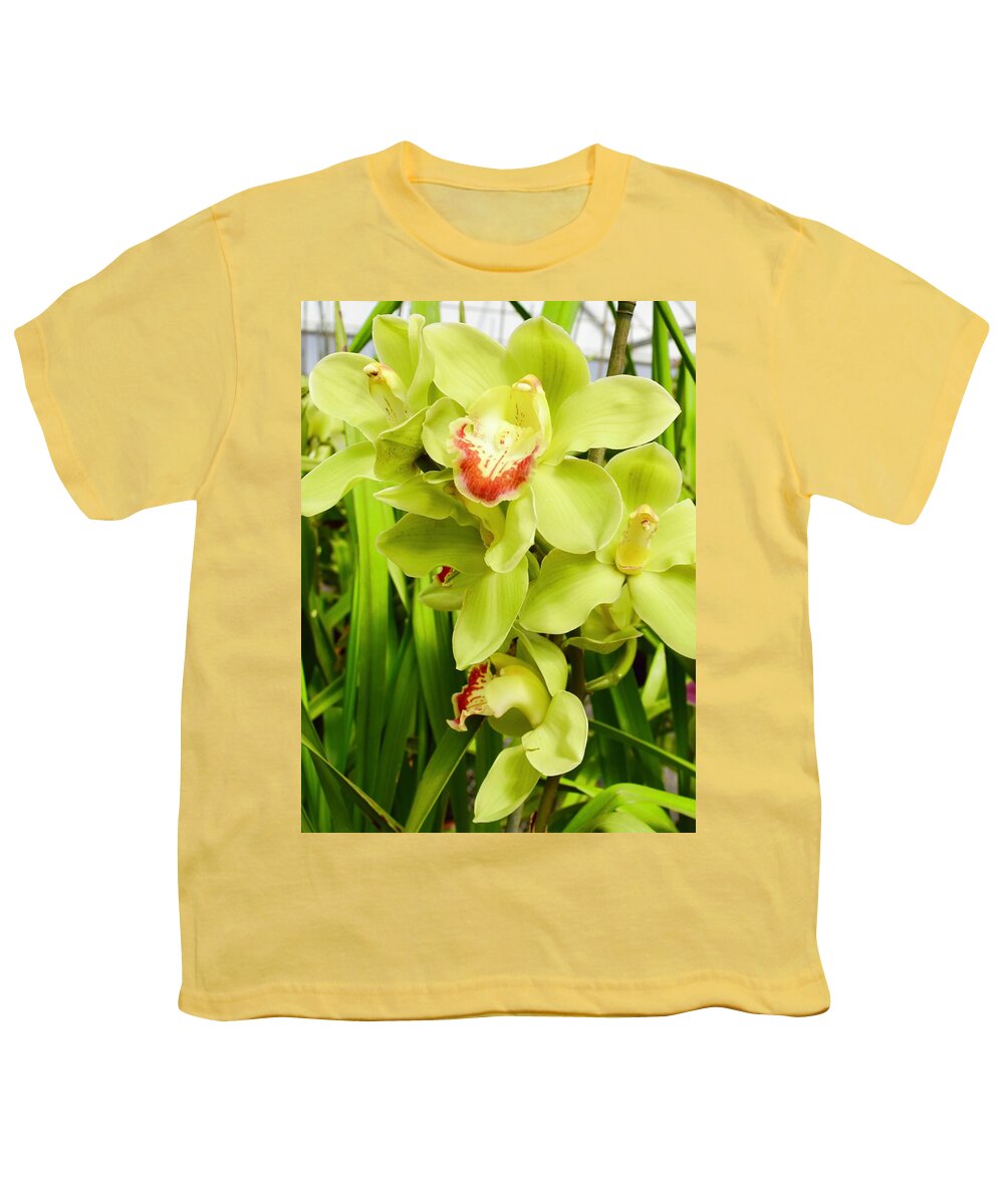 Flower Youth T-Shirt featuring the photograph Green Cymbidium Orchids III by Bnte Creations