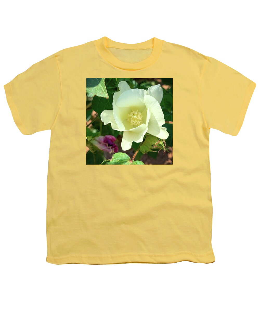 Cotton Youth T-Shirt featuring the photograph Cotton Blossom by Rebecca Herranen