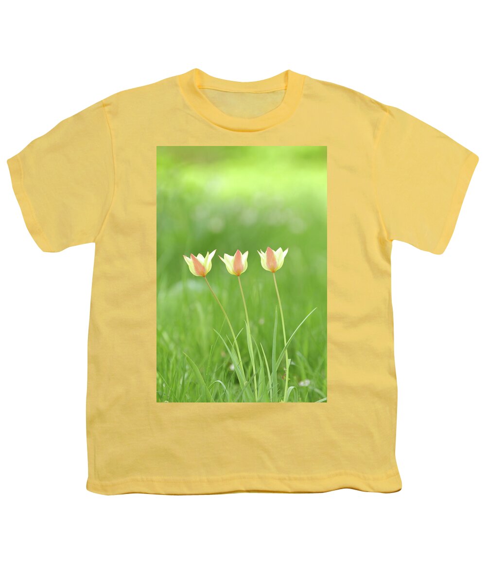 Nature Youth T-Shirt featuring the photograph Triple Tulips by Lens Art Photography By Larry Trager