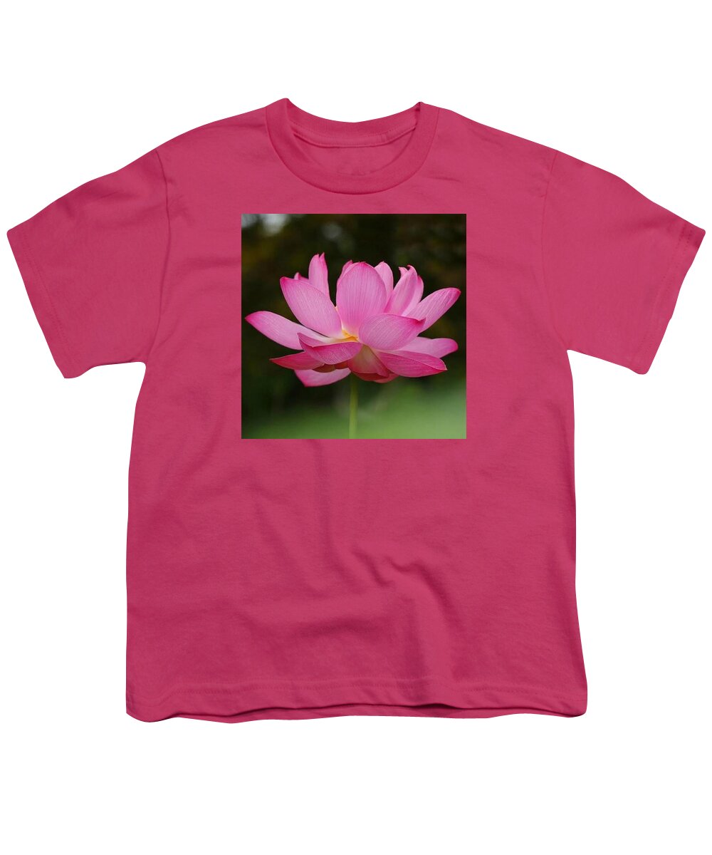 Pink Youth T-Shirt featuring the photograph Lipstick Pink by Carolyn Mickulas