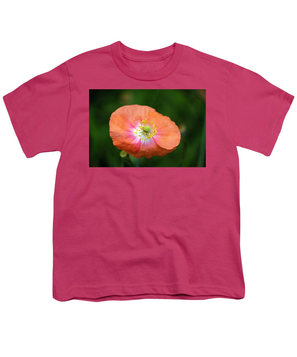 Shirley Poppy Youth T-Shirt featuring the photograph Shirley Poppy 2018-4 by Thomas Young