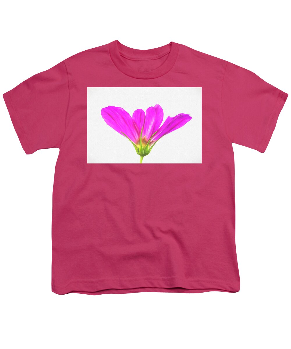 Cosmos Youth T-Shirt featuring the photograph Painterly Cosmos by Cindi Ressler