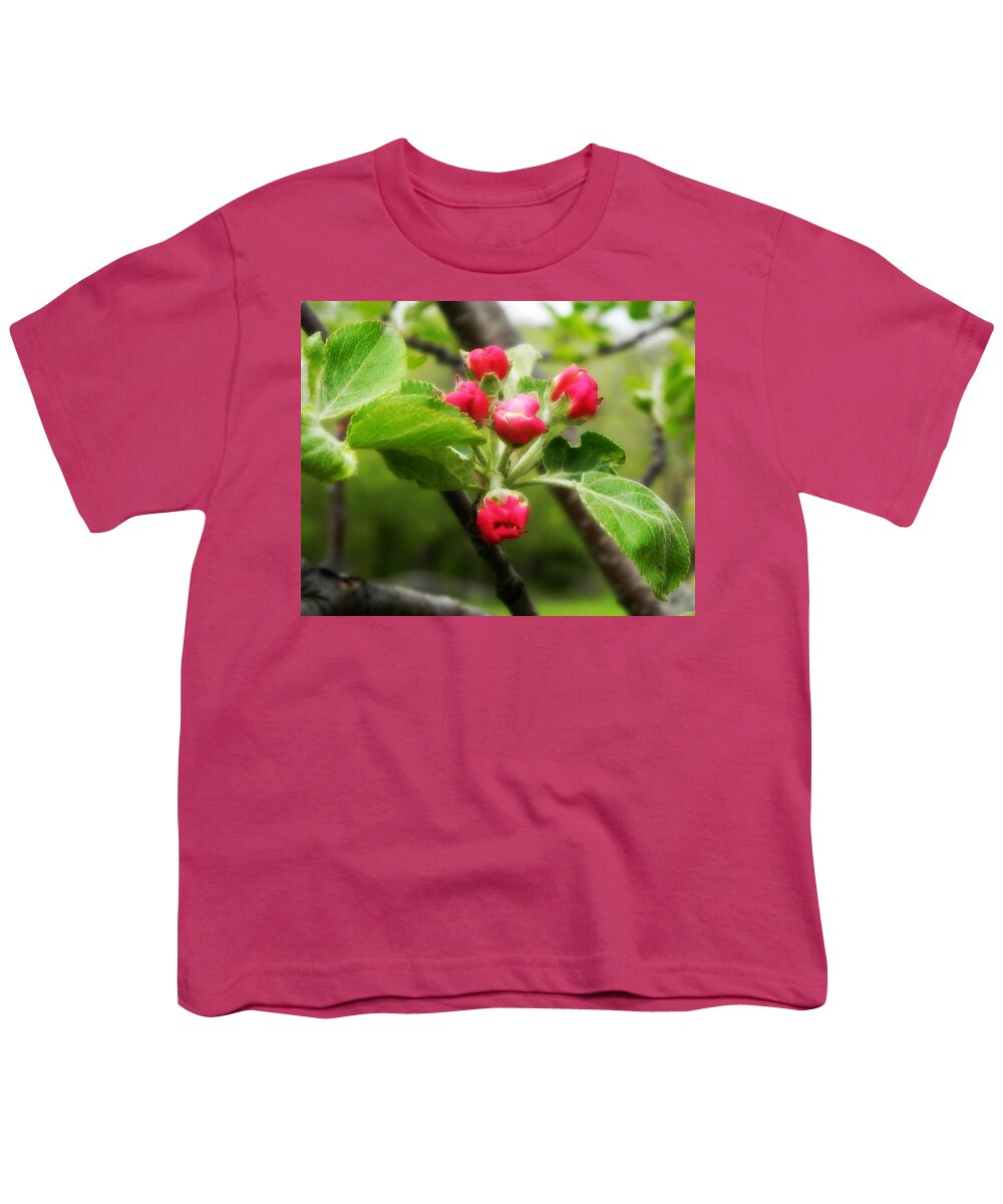 Apple Blossoms Youth T-Shirt featuring the photograph Apple Blossoms by Amanda R Wright