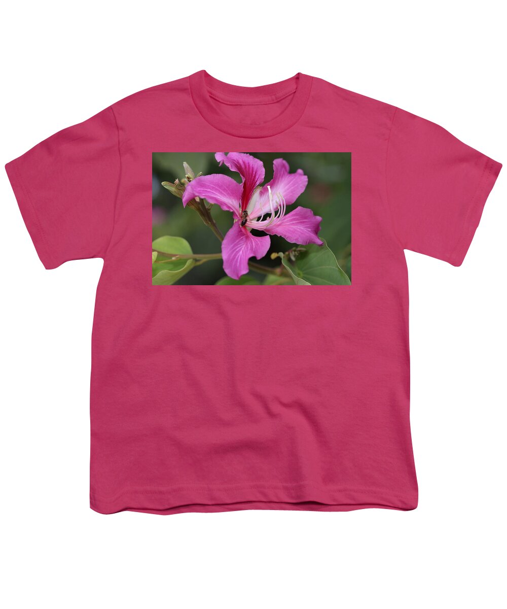 Hongkong Orchid Youth T-Shirt featuring the photograph Hongkong Orchid I by Mingming Jiang