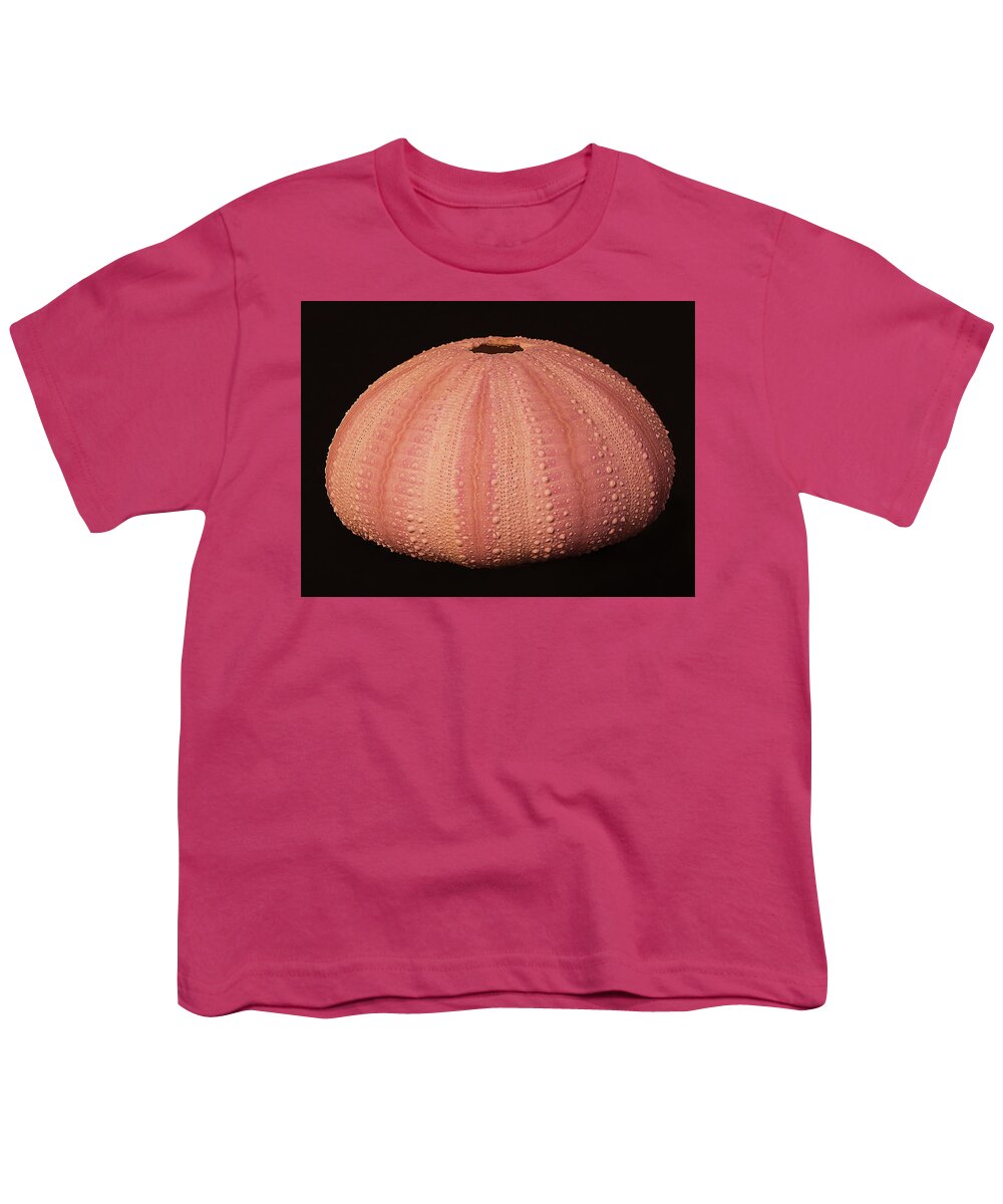 Sea Urchin Youth T-Shirt featuring the photograph Pink Sea Urchin Shell by Charles Floyd
