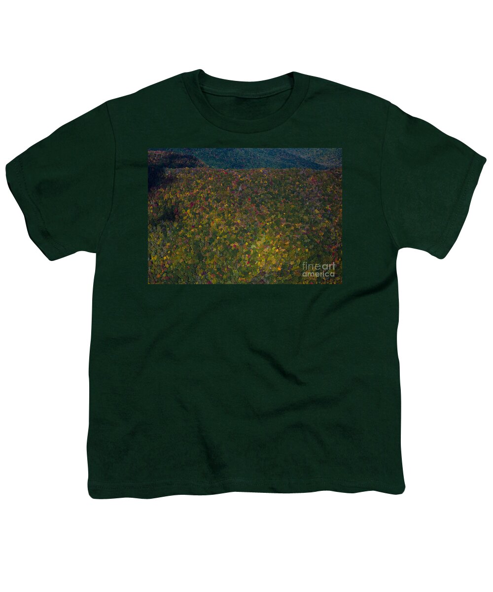 Nc Youth T-Shirt featuring the photograph Autumn Colors at Craggy Gardens along the Blue Ridge Parkway #4 by David Oppenheimer