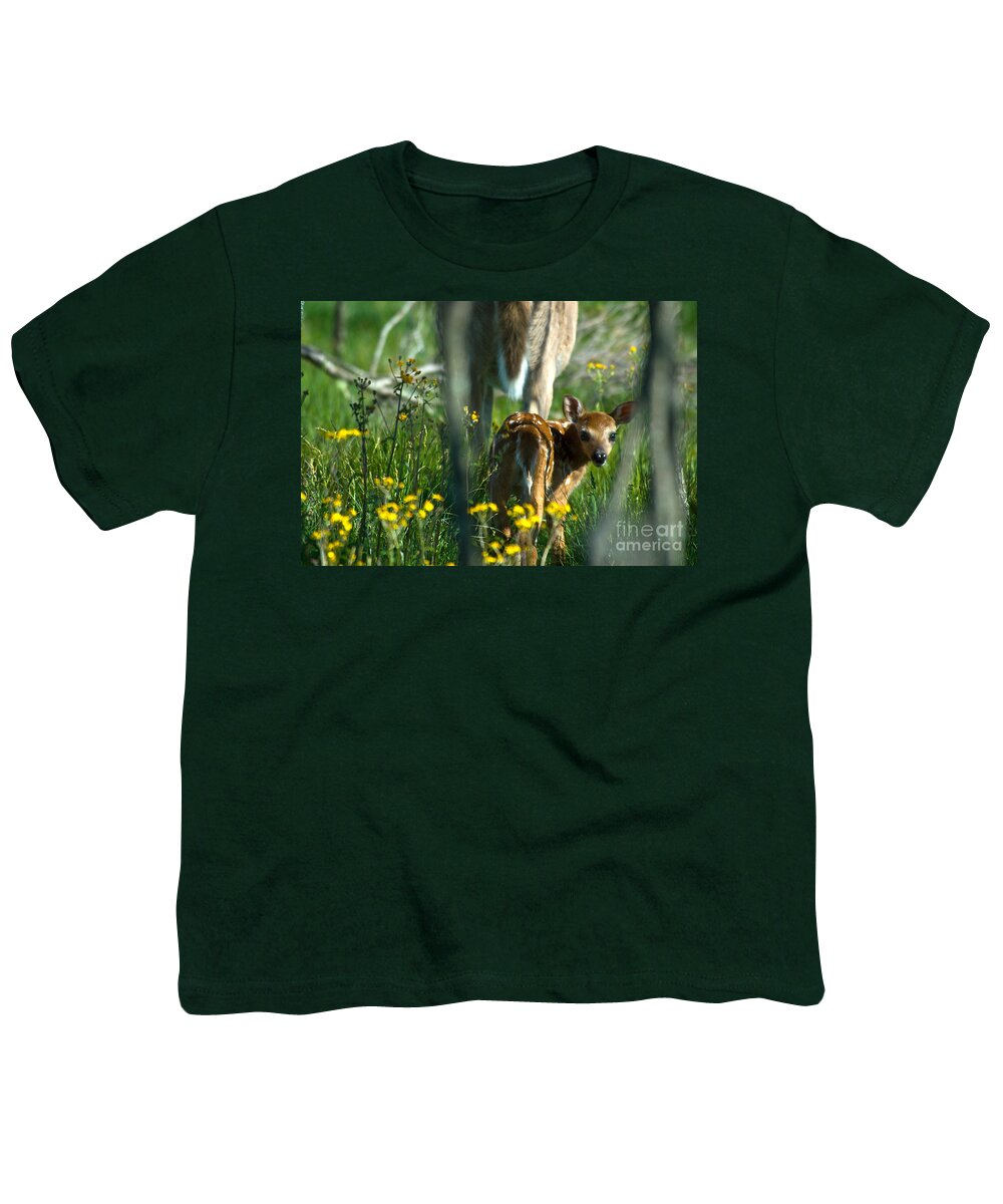 Fauna Youth T-Shirt featuring the photograph Whitetail Deer Fawn #4 by Mark Newman