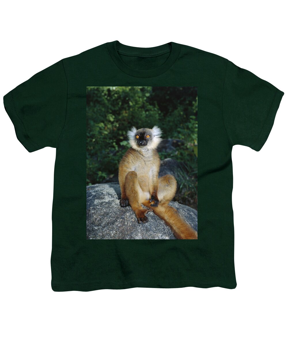 Feb0514 Youth T-Shirt featuring the photograph Black Lemur Female Madagascar by Konrad Wothe