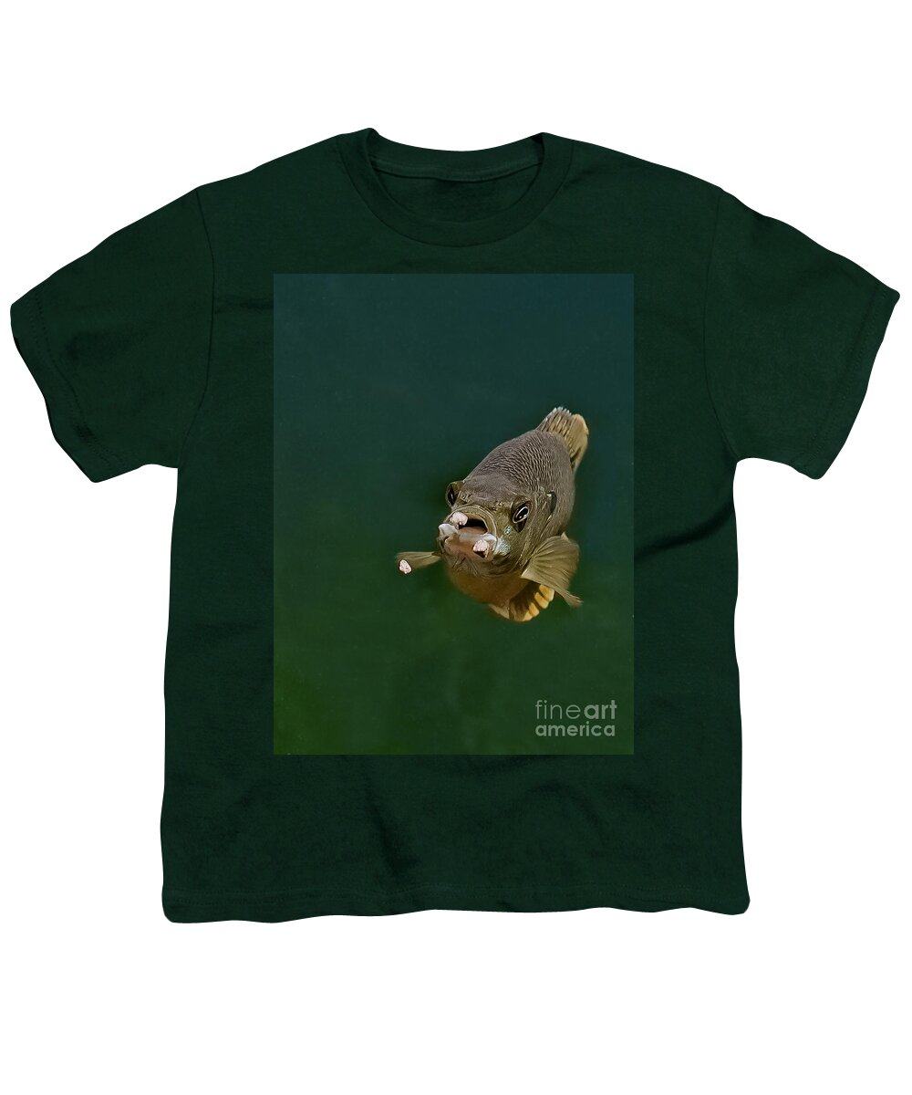 Blue Gill Youth T-Shirt featuring the photograph Blue Gill Feeding by Gwen Gibson