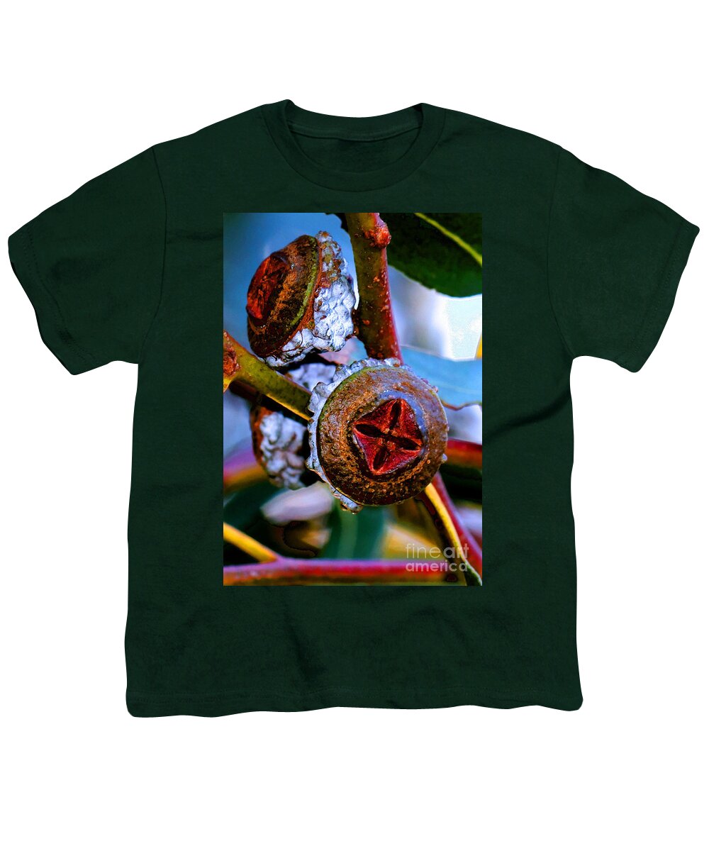 Trees Youth T-Shirt featuring the photograph Pacific Northwest Washington Button Seed Pod by Tap On Photo
