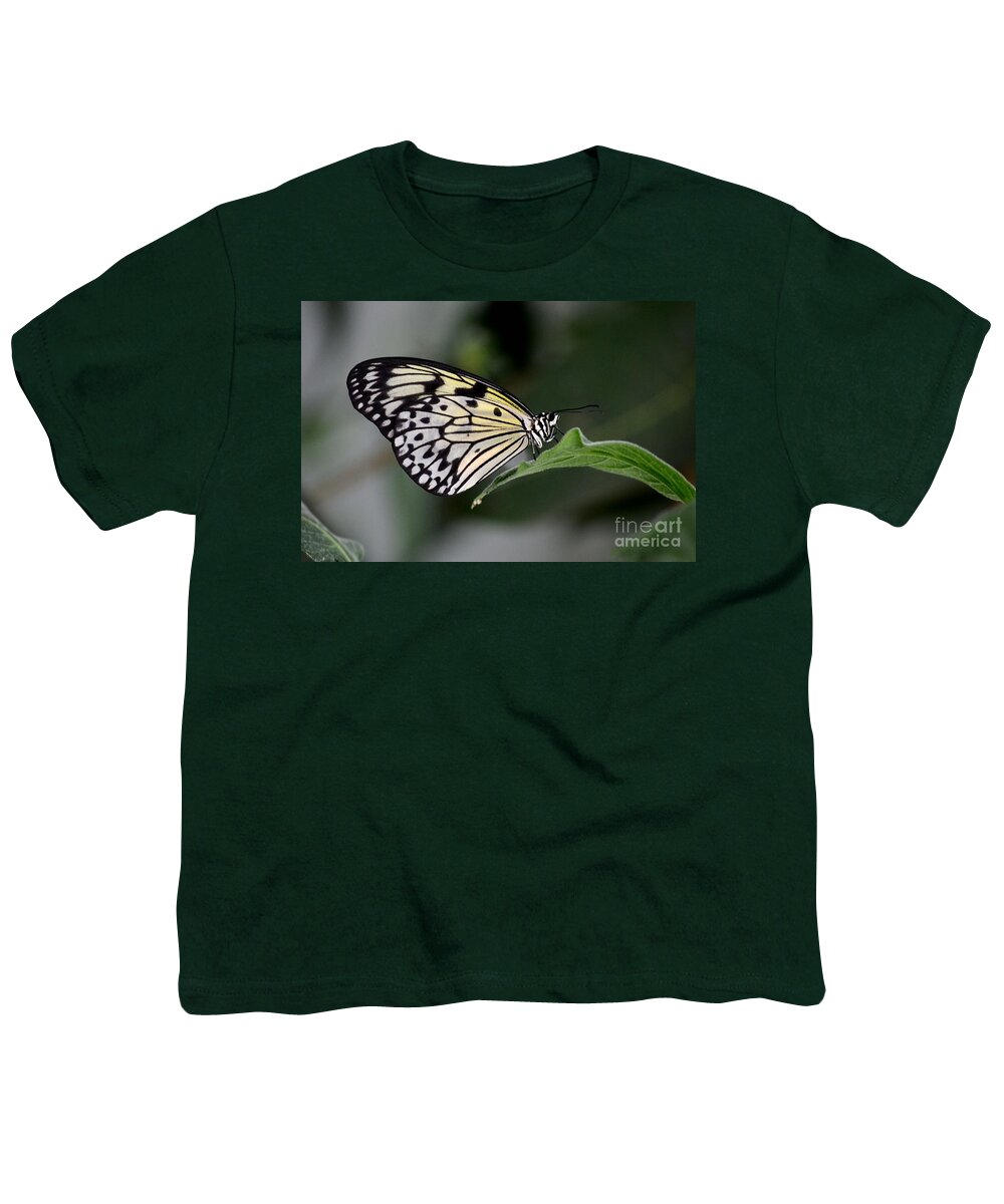 Butterfly Youth T-Shirt featuring the photograph Close up of beautiful Malabar Tree Nymph butterfly resting on leaf by Imran Ahmed