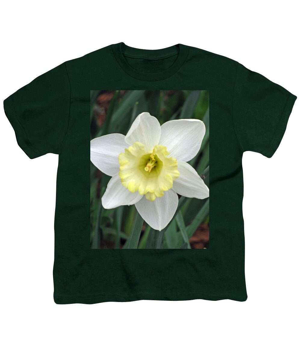 Daffodil Youth T-Shirt featuring the photograph Daffodil 06 by Pamela Critchlow