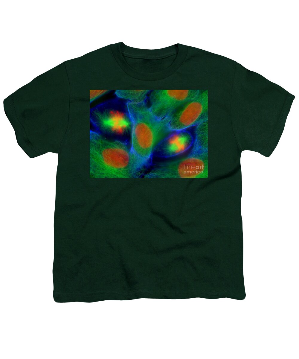 Epithelial Cell Youth T-Shirt featuring the photograph Epithelial Cells by Jennifer Waters