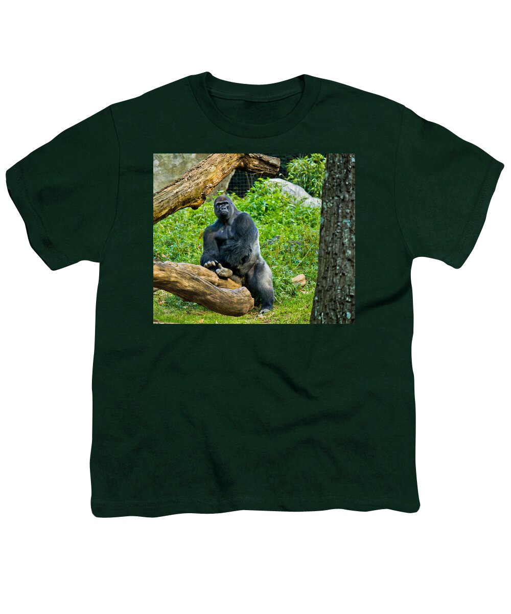 Silverback Youth T-Shirt featuring the photograph Gorilla by Jonny D
