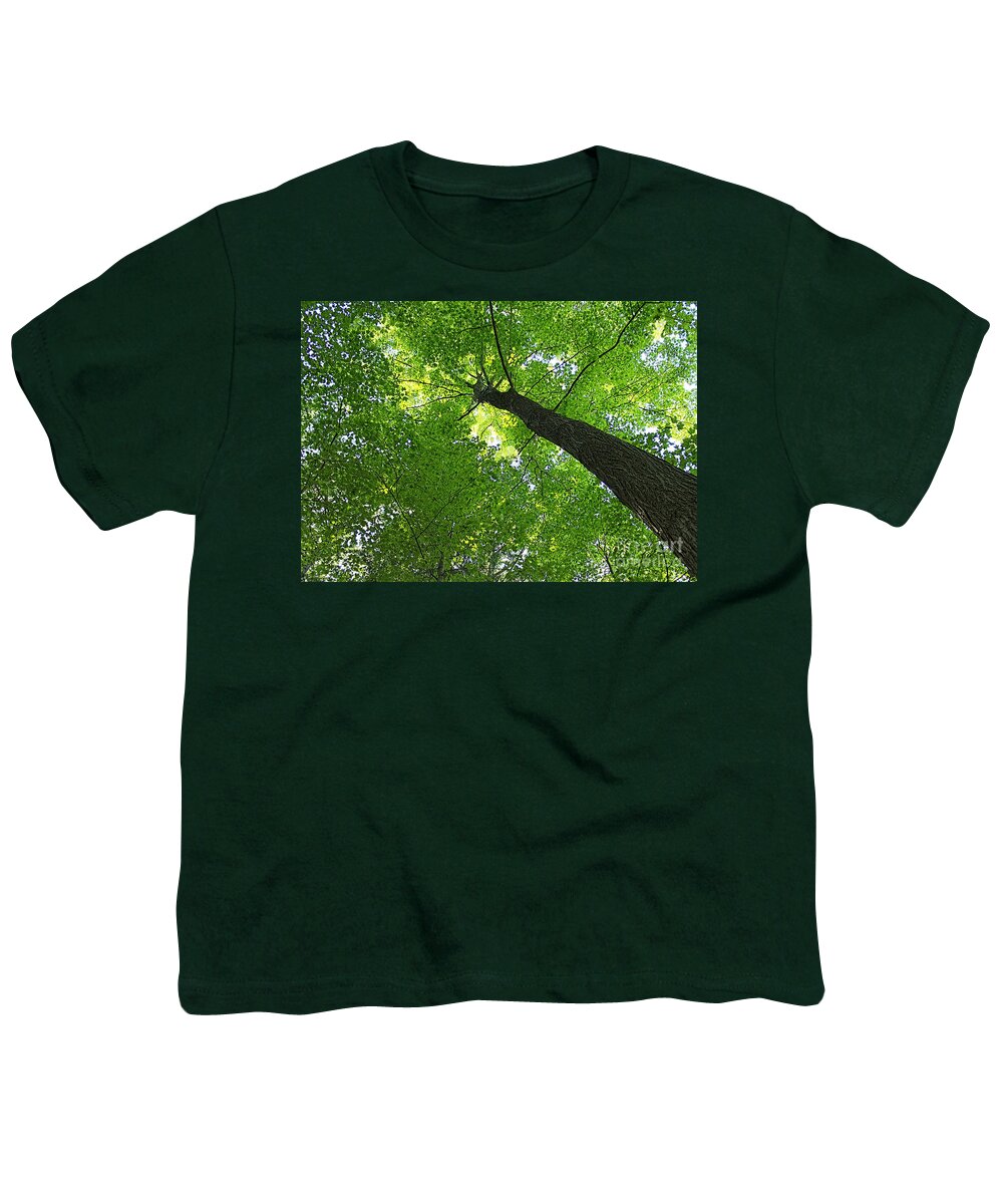 Tree Youth T-Shirt featuring the photograph Green Maple Canopy by Barbara McMahon