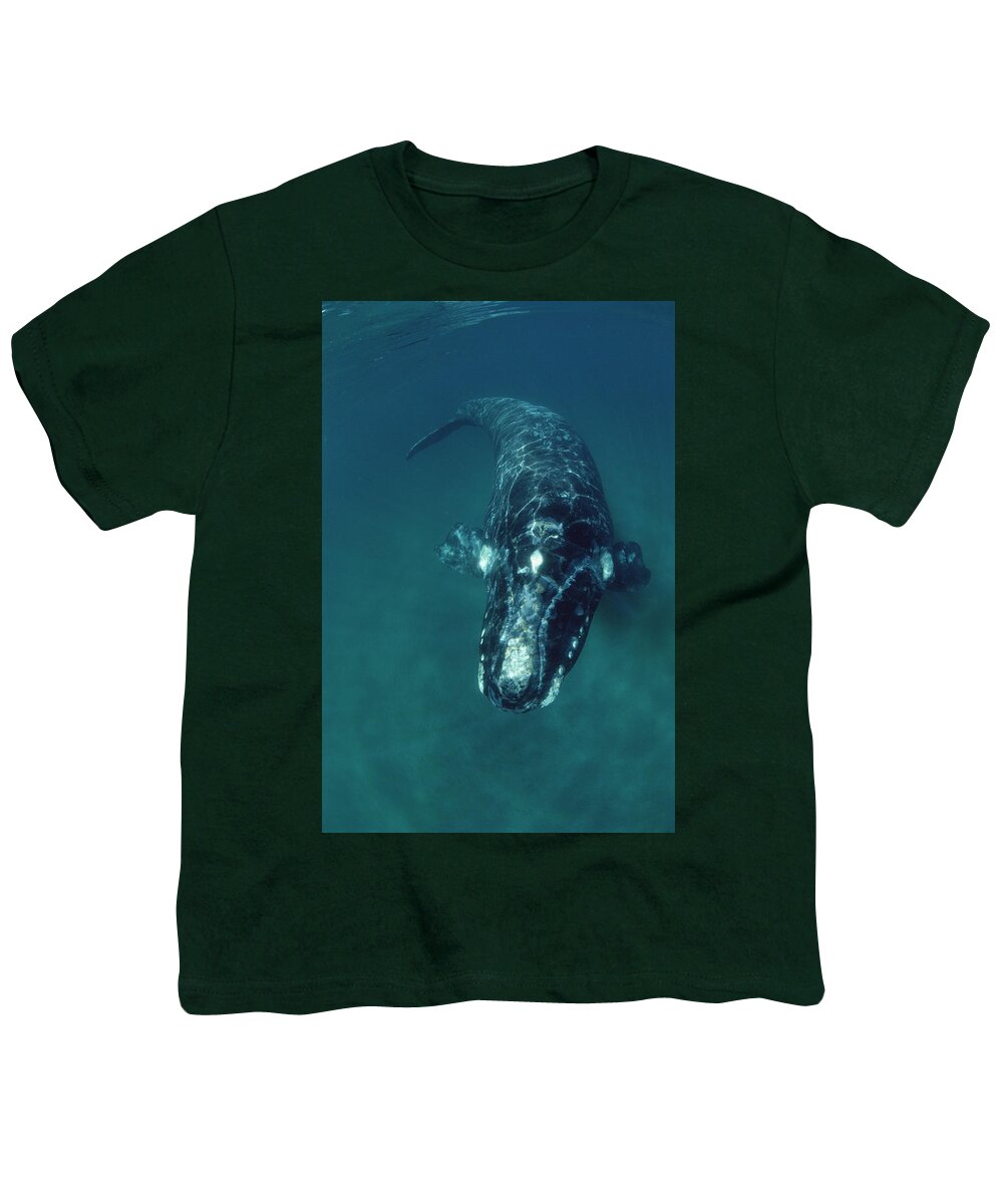 Feb0514 Youth T-Shirt featuring the photograph Southern Right Whale Peninsula Valdez by Flip Nicklin