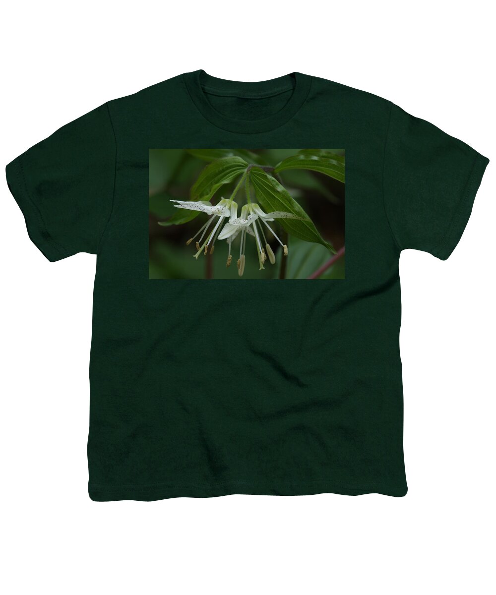 Spotted Mandrin Youth T-Shirt featuring the photograph Spotted Mandrin . Disporum maculatum by Daniel Reed