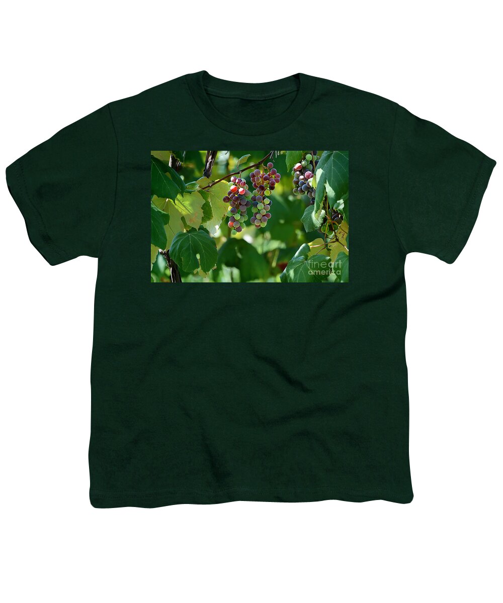Nature Youth T-Shirt featuring the photograph Summertime Grape Harvest by Nava Thompson