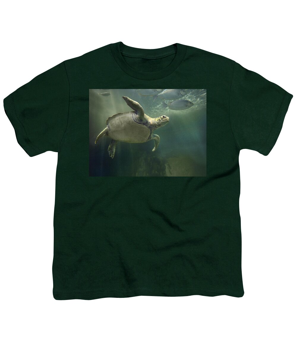 Mp Youth T-Shirt featuring the photograph Green Sea Turtle Chelonia Mydas #2 by Tim Fitzharris