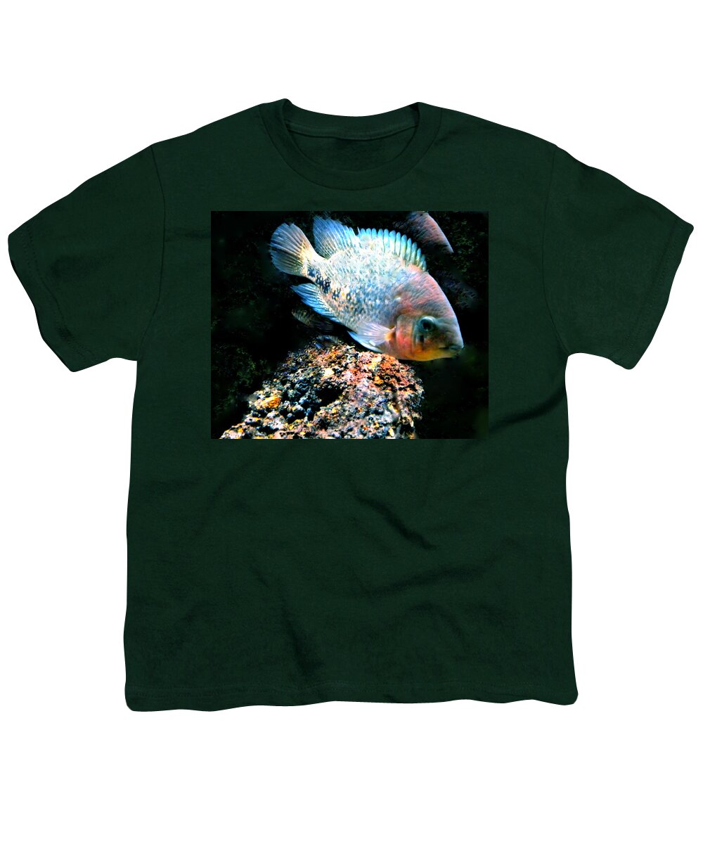 Colette Youth T-Shirt featuring the photograph Fish living in Denmark #4 by Colette V Hera Guggenheim