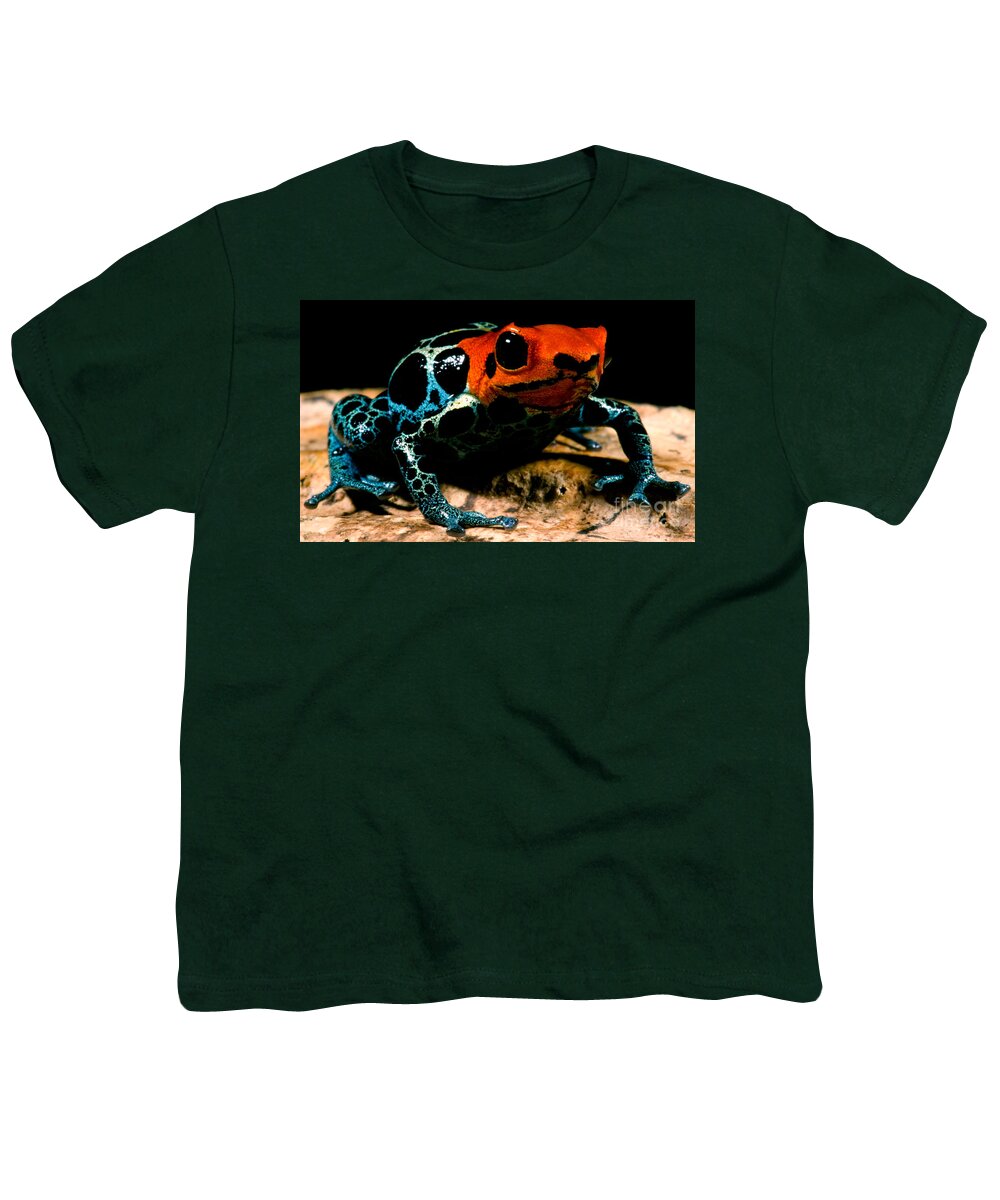 Ranitomeya Ventrimaculata Youth T-Shirt featuring the photograph Amazonian Poison Frog #5 by Dant Fenolio