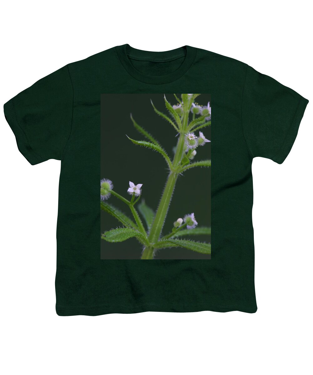 Cleavers Youth T-Shirt featuring the photograph Cleavers by Daniel Reed