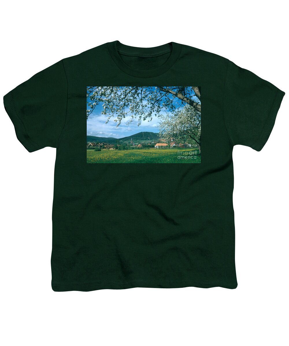 Nature Youth T-Shirt featuring the photograph Oden Forest , Germany by Photo Researchers, Inc.