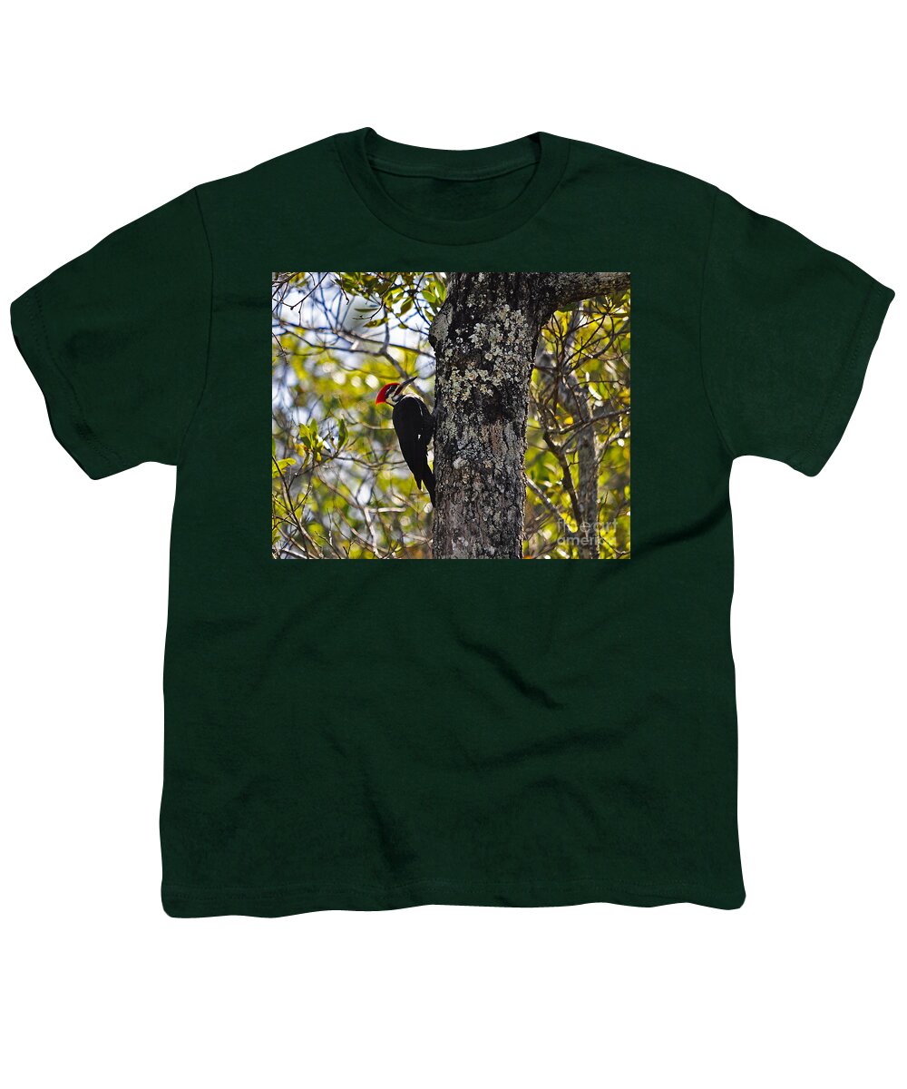 Pileated Woodpecker Youth T-Shirt featuring the photograph Pileated Woodpecker by Al Powell Photography USA