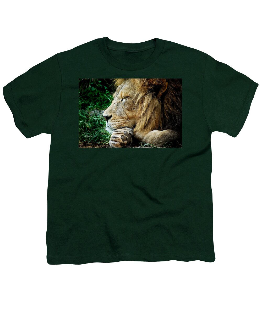 Lion Youth T-Shirt featuring the photograph The Lions Sleeps by Michelle Wrighton