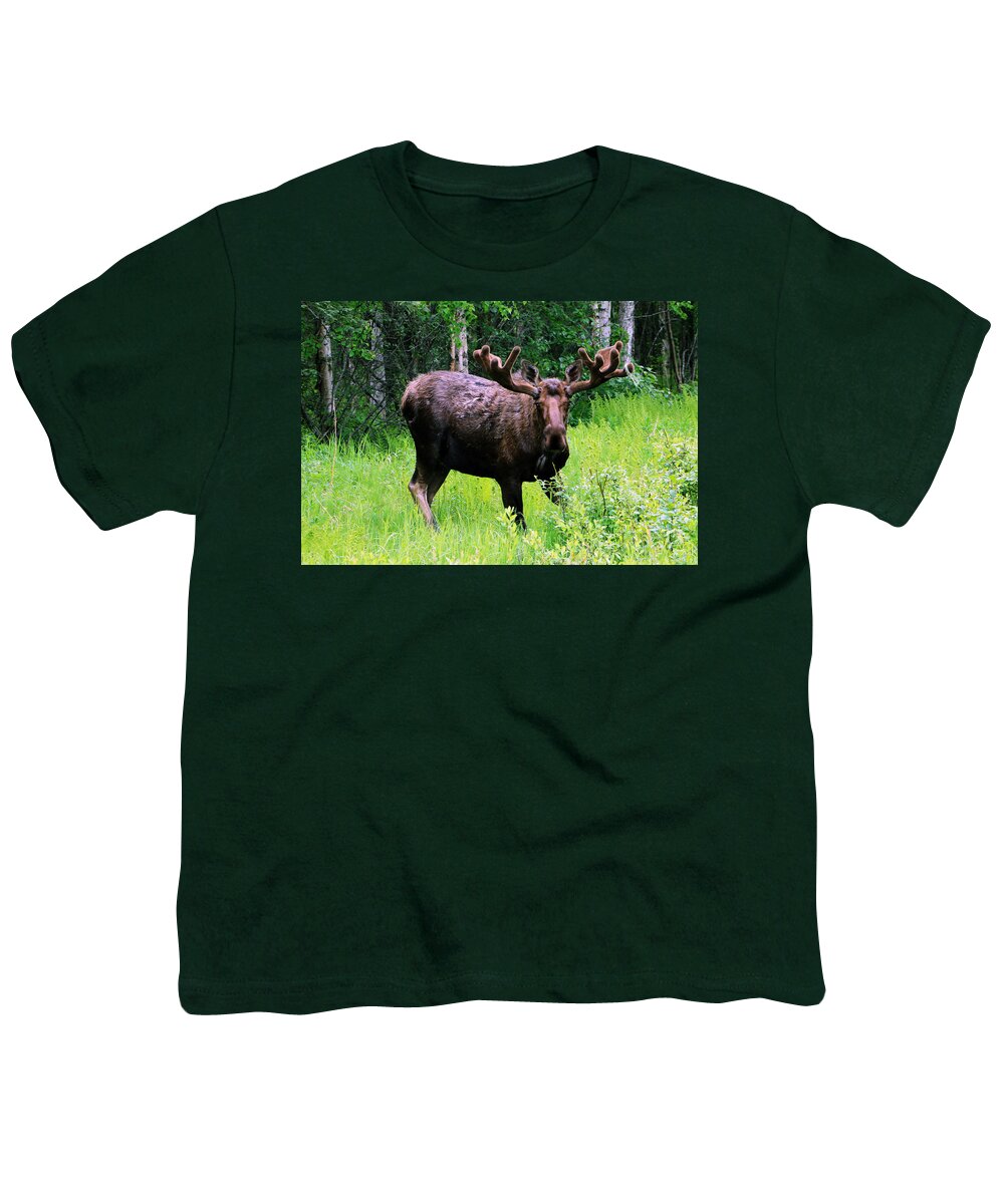 Alaska Youth T-Shirt featuring the photograph Alaska Moose by DiDesigns Graphics