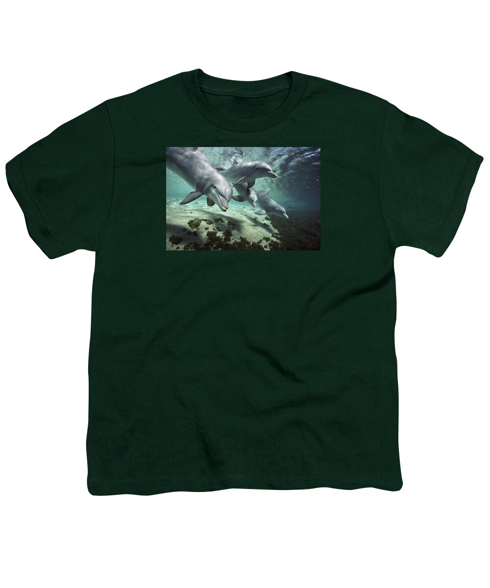 00082400 Youth T-Shirt featuring the photograph Four Bottlenose Dolphins Hawaii by Flip Nicklin