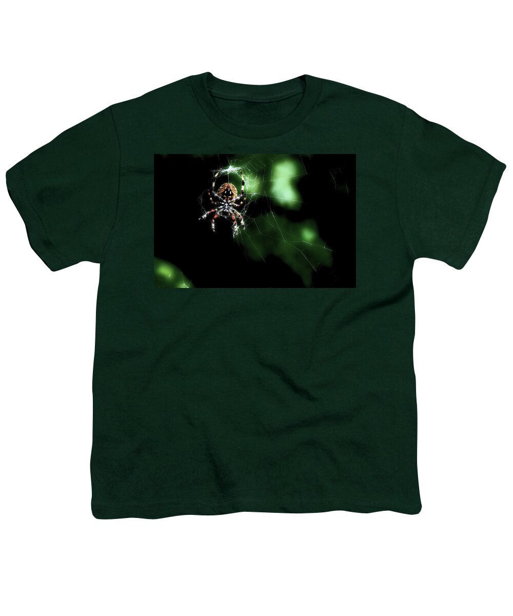 Spider Youth T-Shirt featuring the photograph Creepy Crawler by Michael Eingle