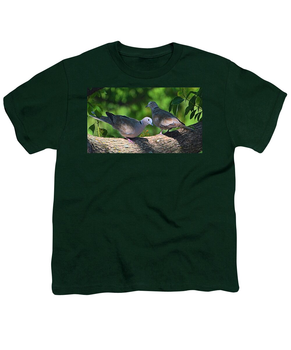 Eurasian Collard Doves Youth T-Shirt featuring the photograph Eurasian Collared Dove Pair by Josephine Buschman