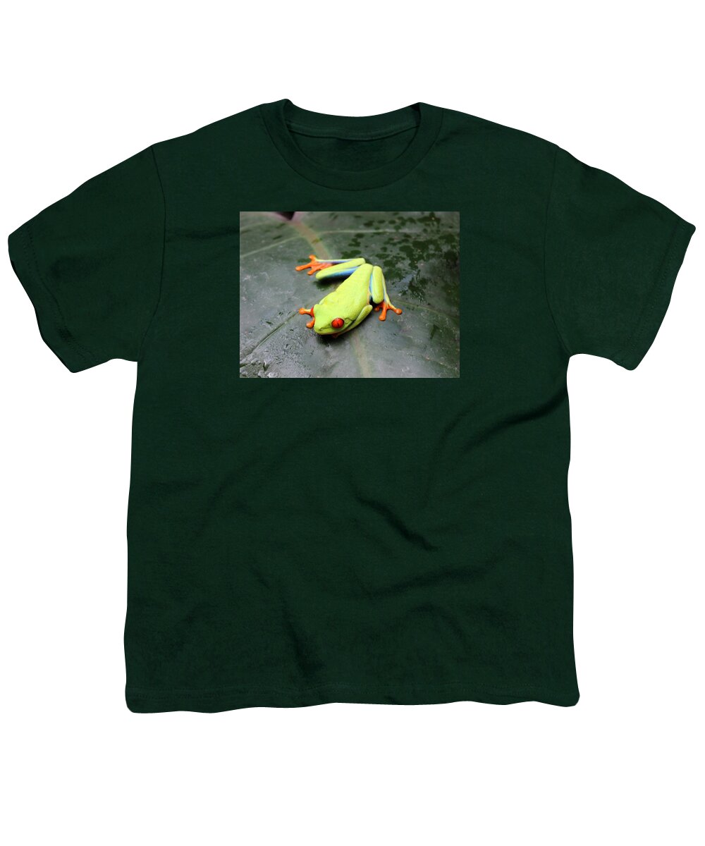 Frog Youth T-Shirt featuring the photograph Freddy 2 by Lorraine Baum