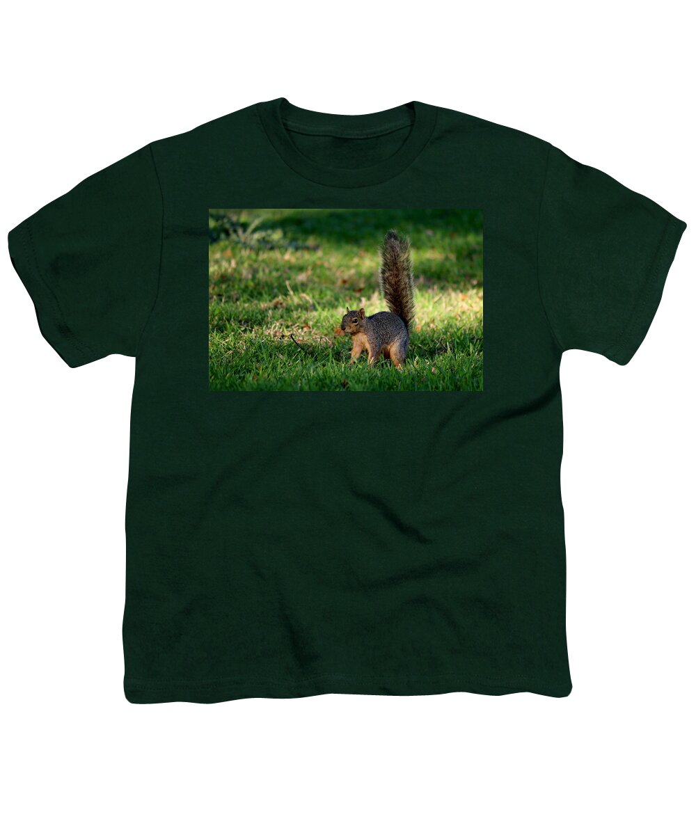Squirrel Youth T-Shirt featuring the photograph Freeze by Christy Pooschke