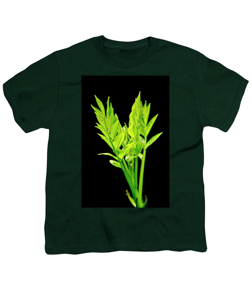 Forest Youth T-Shirt featuring the photograph Green Spurs and Sunlight. by Elena Perelman