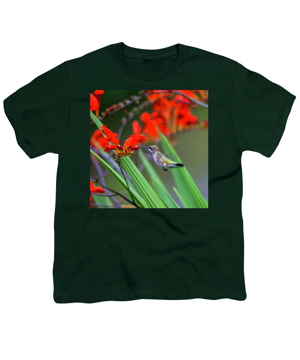 Hummingbird Youth T-Shirt featuring the photograph Hummer Lunch by Dale R Carlson