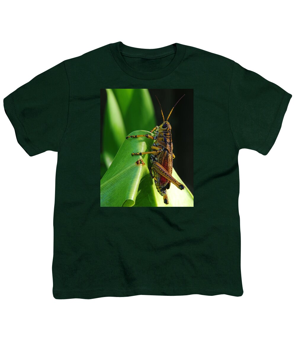 Lubber Grasshopper Youth T-Shirt featuring the photograph Lubber Grasshopper II by Richard Rizzo