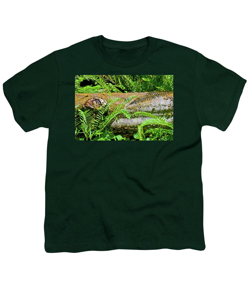 Nurse Log In Muir Woods National Monument Youth T-Shirt featuring the photograph Nurse Log in Muir Woods National Monument, California by Ruth Hager