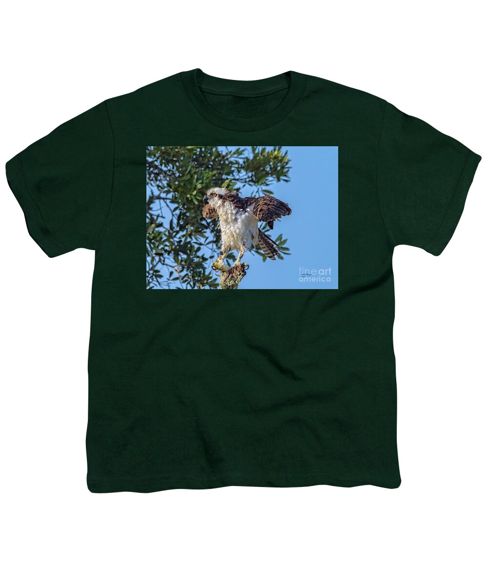 Osprey Youth T-Shirt featuring the photograph Osprey With Meal by DB Hayes