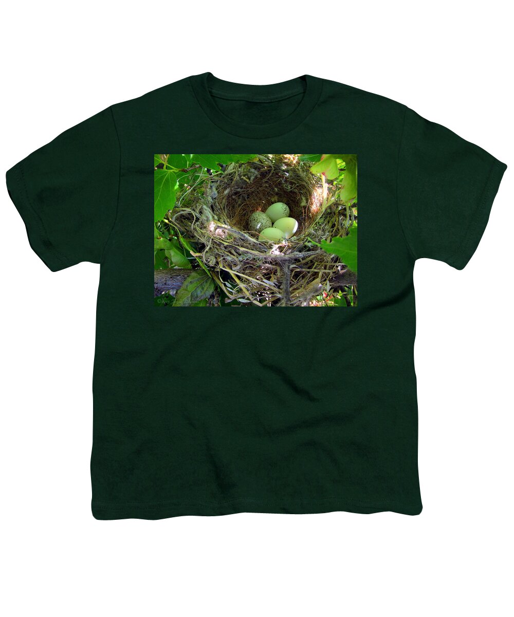 Nest Youth T-Shirt featuring the photograph The Next Generation by Joyce Dickens
