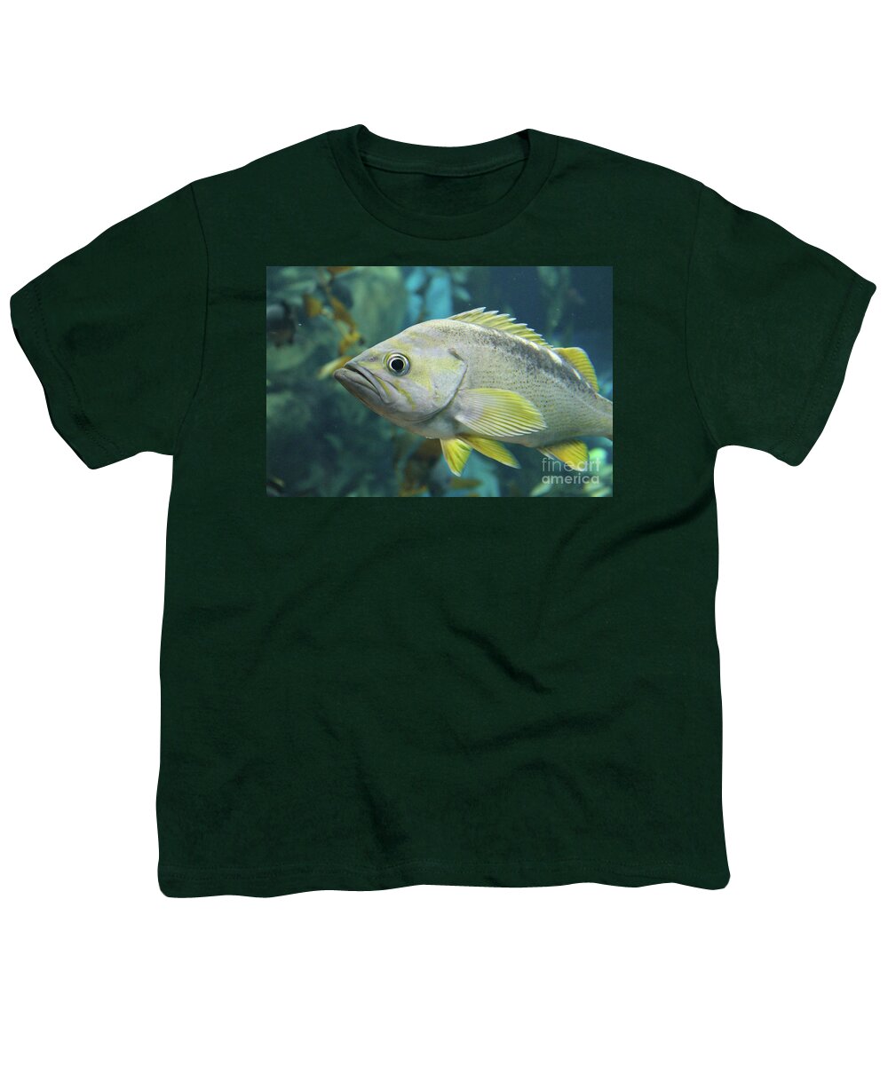 Fish Youth T-Shirt featuring the photograph Yellowtail Rockfish by Nina Silver