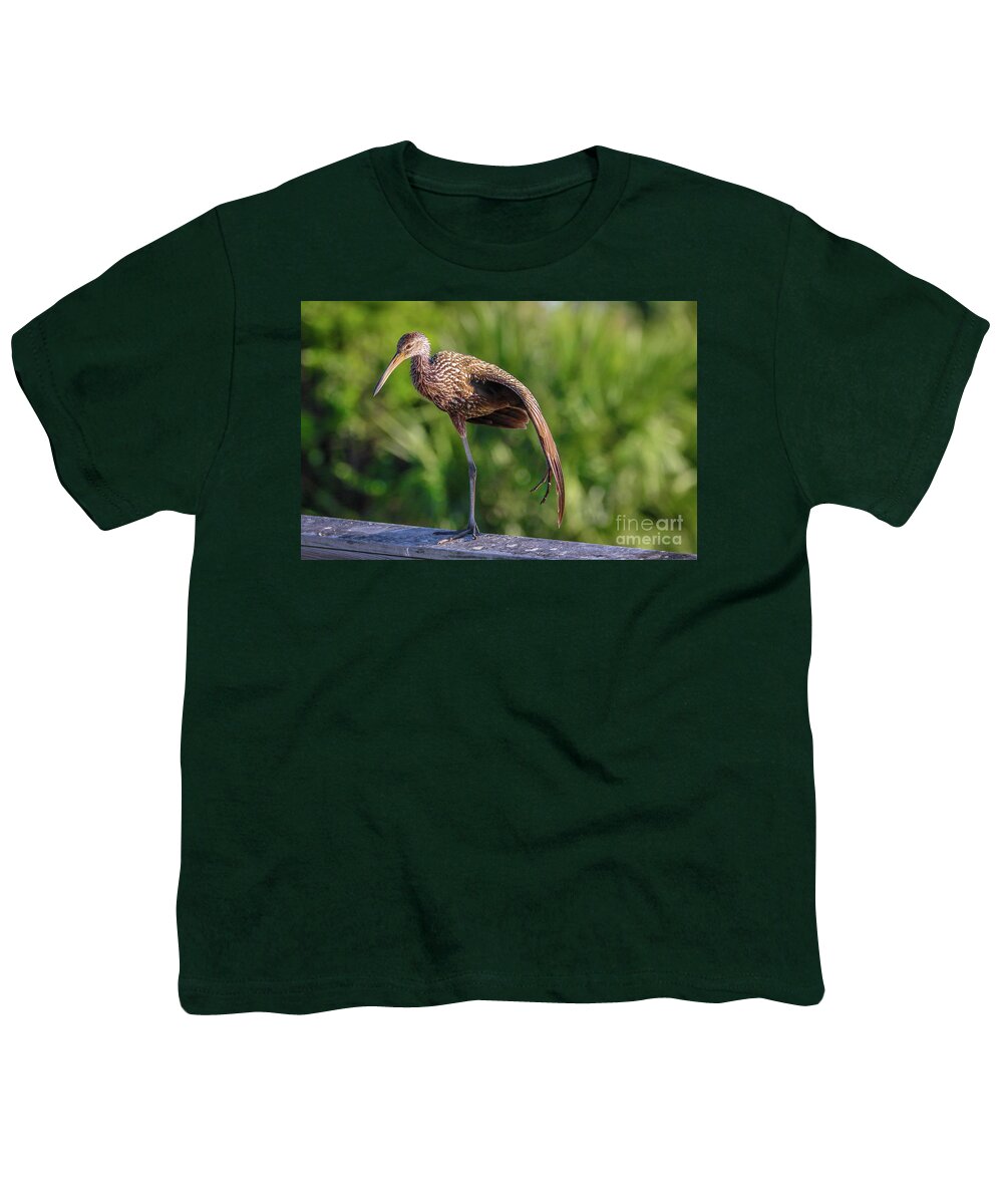 Limpkin Youth T-Shirt featuring the photograph Yoga Pose Limpkin by Tom Claud