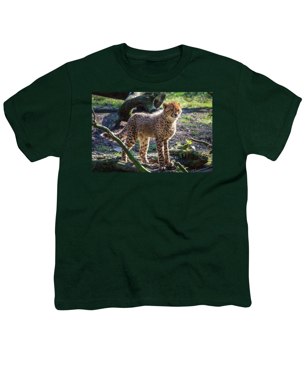 Acinonyx Jubatus Youth T-Shirt featuring the photograph Young cheetah portrait by Tim Abeln